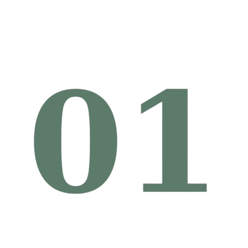 untitled design 22 removebg preview